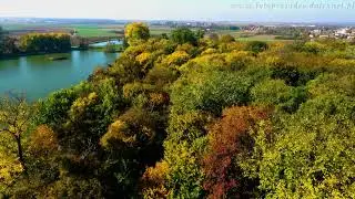 Autumn 2018. Olesin-Kur&oacute;w. Jesień 2018