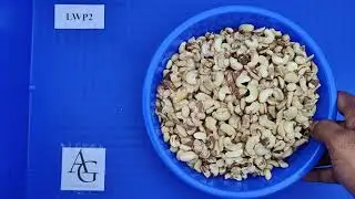 Cashew Nut Grade 33.  LWP2 - Large White Pieces [Grade 2] _ Amartya Group India