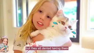 SHORT BED STORY FOR KIDS - the mystery of the missing cat treats
