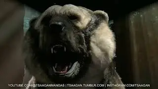 Giant short-faced bear  | J&auml;&auml;kauden j&auml;ttil&auml;iset | Heureka | 2025