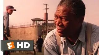 The Shawshank Redemption (1994) - I Just Miss My Friend Scene (8/10) | Movieclips