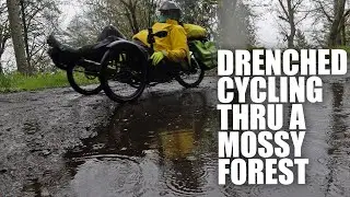 Cycling a Recumbent Trike in a Mossy Forest in Portland