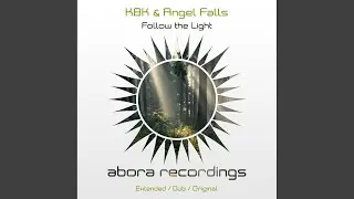 Follow the Light (Extended Mix)