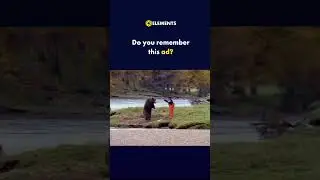 Man Fights Bear For Salmon!
