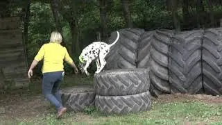 Hundeverein Masholder