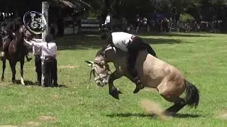Cayasta, Clasificacion Categ. Clina 2025, Fiesta Prov. de la Doma, 23 de Noviembre 2025