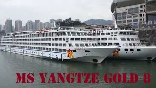 MS Yangtze Gold 8