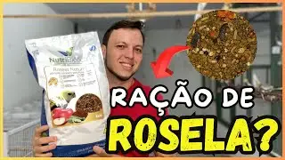 POR QUE É A MELHOR RAÇÃO DA NUTRIBIÓTICA ?