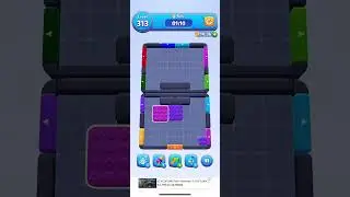 Solve Color Block Jam 313