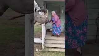 This Grandma Is Fearless! 💪🦏