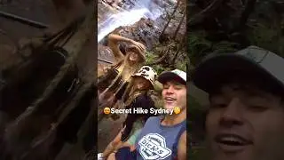 😱Hidden Hike in Sydney😍 #hike #hiking #hikingadventures #sydney #adventure #funnyshorts #explore