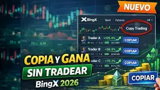 Gana en Crypto Sin Tradear: Copy Trading en BingX Explicado 📈 (2026)