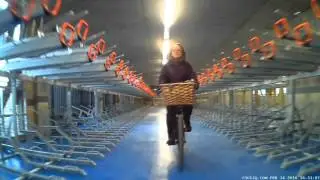 Cambridge CyclePoint