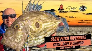 Tecniche VERTICALI al MASSIMO DELLA POTENZA. Slow Pitch invernale con catture da SOGNO!