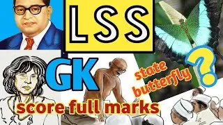 ВОПРОСЫ LSS GK (английский язык, средний) | Вопросы LSS по английскому языку (средний) | The Kids Eduzone