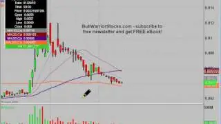 ZVTK Technical Stock Chart_ 2/12/2010