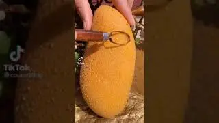 Kind Of Fruit |SweetHonesty | Vinz Channel