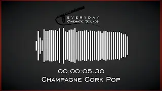 Champagne Cork Pop | HQ Sound Effects