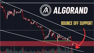 Algorand Price Update - Breakdown, but pattern still intact!