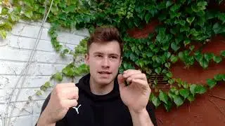 Najlepsze ćwiczenia na start w Armwrestlingu