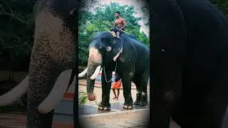 Ganesh
