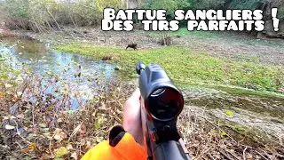 ☆Chasse aux sangliers intense ! 2025/2026☆