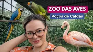 o INCRÍVEL Zoo das Aves, em Poços de Caldas