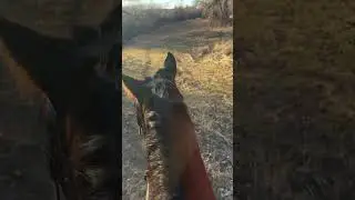 Riding Rocky on a warm winter day