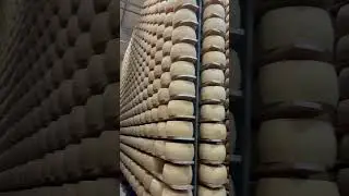 PARM - The Real Deal  #food #parm #cheese #italy #parmigiano #italian #best #savoryfood #wine