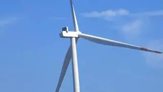 Desert Bio - музыка без авторских прав