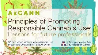 Principles of Promoting Responsible Cannabis Use: Lessons for Future Professionals