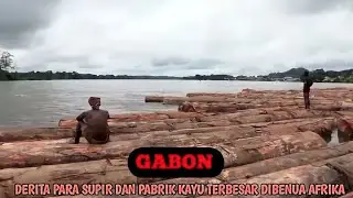 GABON : DERITA PARA SUPIR DAN PENGOLAHAN KAYU TERBESAR DIBENUA AFRIKA