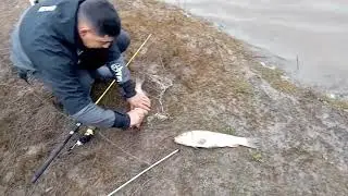 pesca en el samborombom . Ferrari.