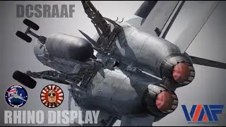 DCS RAAF F/A-18F & E/A-18G Display 2025 | Australian Air Power