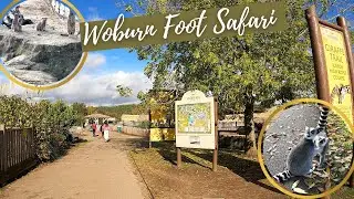 Woburn Safari | Foot safari| #fun #safari #zoo #england
