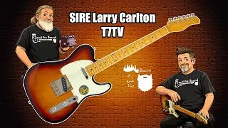 Sire Larry Carlton T7TV Review | Clean, Driven & Pedal-Fueled Tones