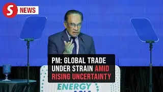 Global interconnectedness under strain amid rising geopolitical tensions, says Anwar