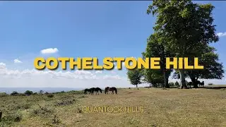 Walking Cothelstone Hill - Quantock Hills with Exmoor Ponies!
