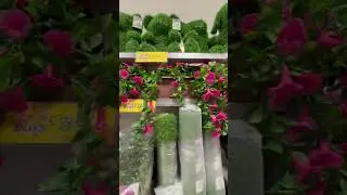 #homebargains #fakeplants #gardendecor