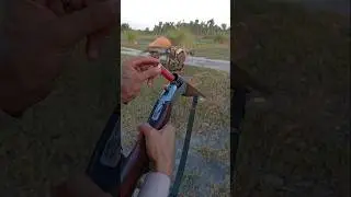 Best 12 Gauge Shotgun for Hunting and Home Defense
