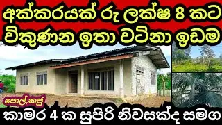 අක්කරයක් ලක්ෂ 8 කට විකුණන විශාල ඉඩම | වටිනා නිවසක්ද සමග | House for sale | Aduwata idam | Land sale
