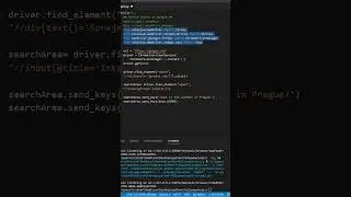 Search on Google automatically using Python and Selenium, web crawling