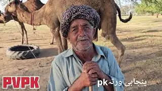 Raja Yunas Of Chak Naban Cmal Lover Old Man