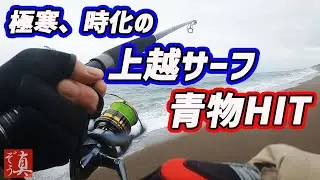 【上越サーフ】極寒日本海で青物ゲット！～サゴシの藁焼き