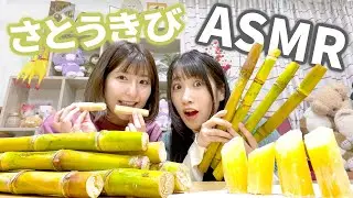 【ASMR】バリバリ音！はじめて