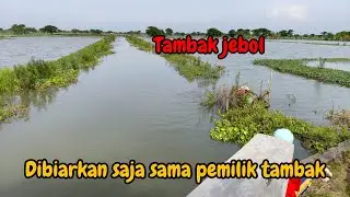 GAK HERAN MANCING SEBELAH TAMBAK JEBOL PASTI DAPAT BANYAK ‼️
