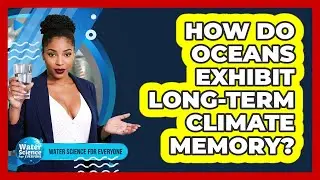 How Do Oceans Exhibit Long-Term Climate Memory?