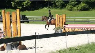 Jeremiah P. Duck Medium Pony Hunters Handy VT Wk4 2013