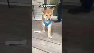 Hello! It&rsquo;s meeeeeeee