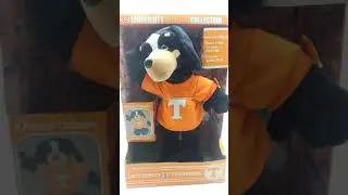 Tennessee Volunteers Dancing Mascot